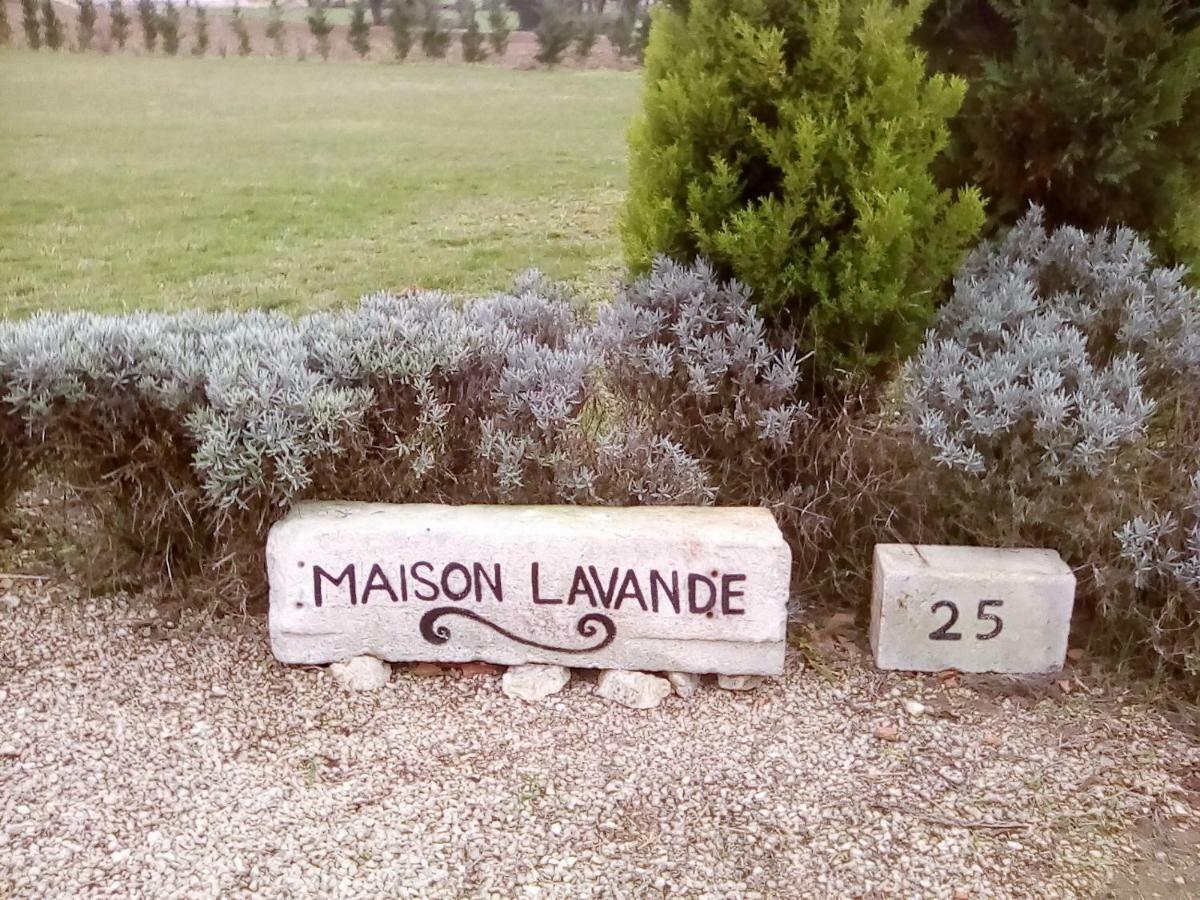 Saint-Jean-dʼAngélyMaison Lavande住宿加早餐旅馆 外观 照片