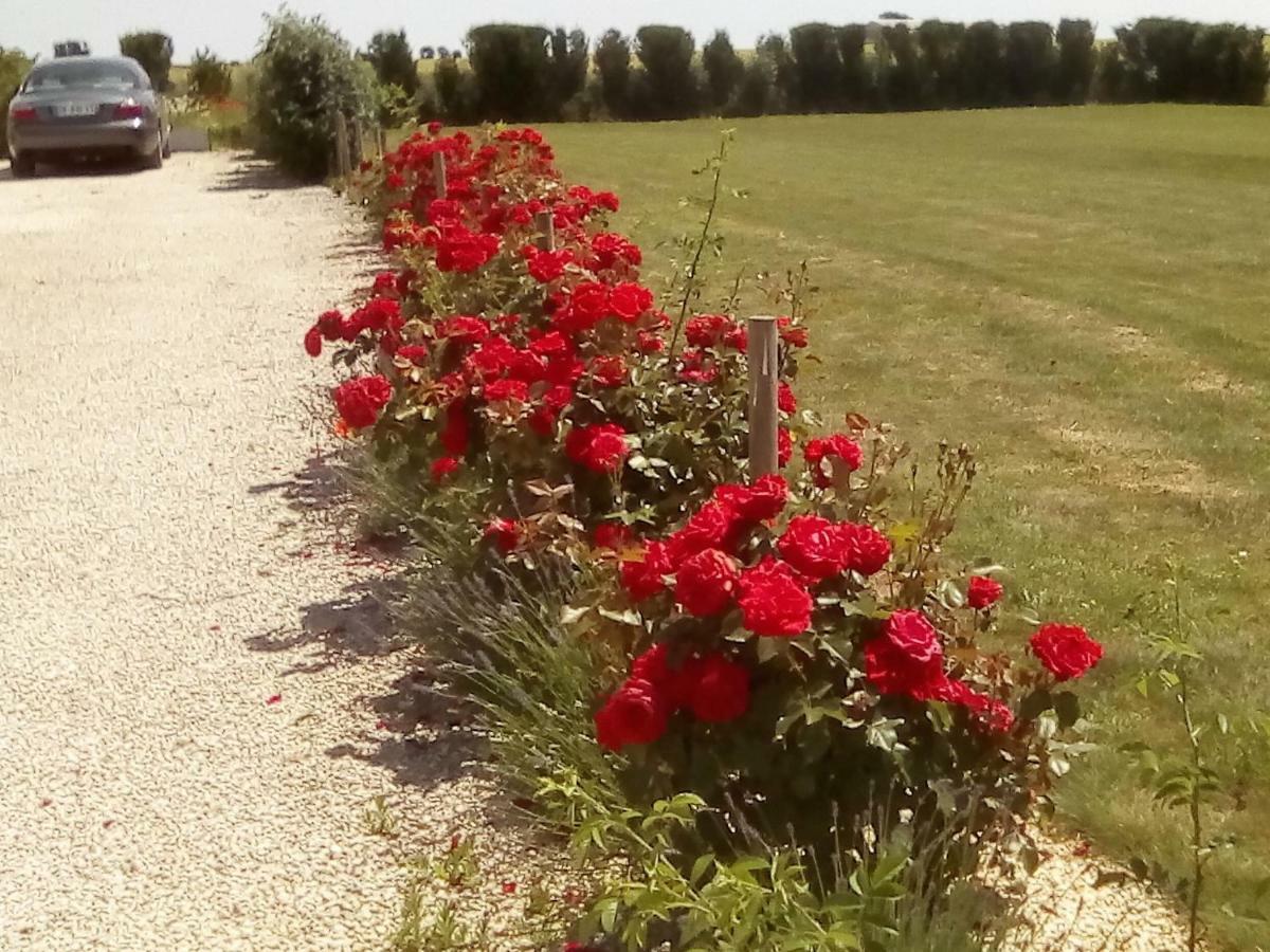 Saint-Jean-dʼAngélyMaison Lavande住宿加早餐旅馆 外观 照片