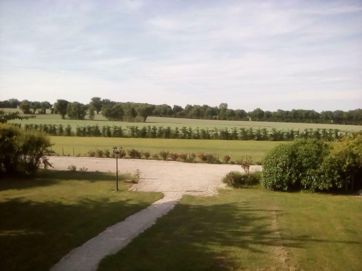 Saint-Jean-dʼAngélyMaison Lavande住宿加早餐旅馆 外观 照片